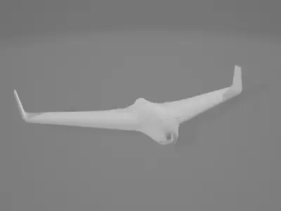 Skywalker X8 Free 3D model