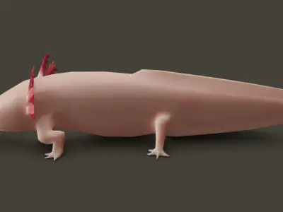 Low Poly Salamander 3D model lizard Low-poly 3D model