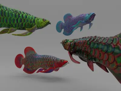 Dragon  Fish 3D model