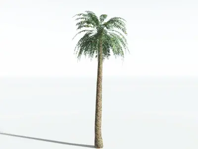 EVERYPlant Date Palm LowPoly 2 --16 Models-- Low-poly 3D model