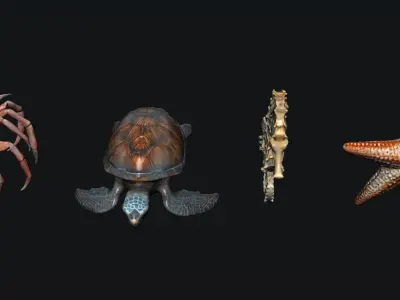 Sea Animals 3D model