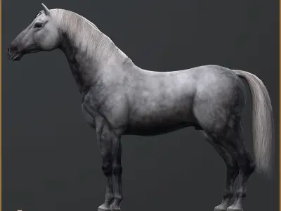 5 Additional Pinto Textures For Hero Horse Free 3D model