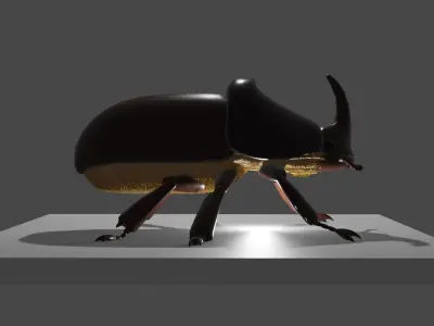 european rhino beetle Low-poly 3D model