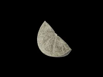 Orange Slice 3D model