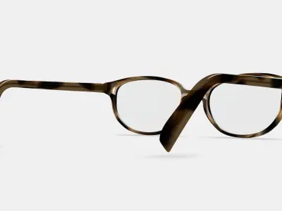 Ira Eyeglasses in Striped Sassafras 3D model