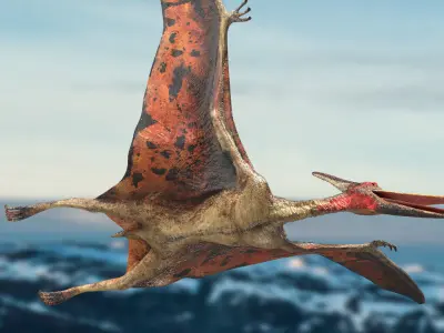 Pteranodon Rigged Animated 3D model Low-poly 3D model