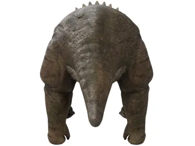 Triceratops 3D model