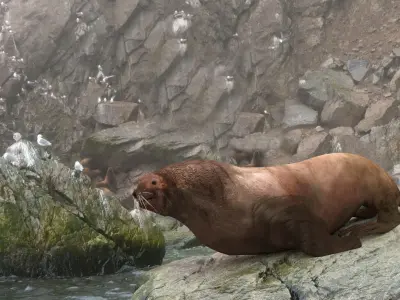 Sea lion Low-poly 3D model