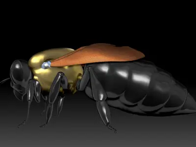 queen bee 3D model