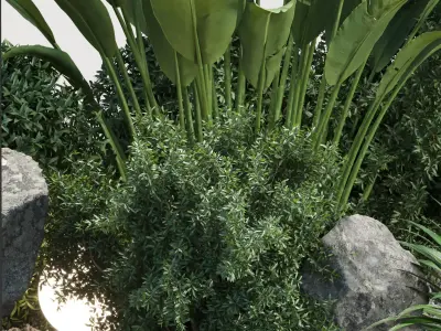 Indoor Plants Vol 321 3D Model Scene 3D model