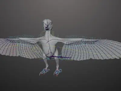 Basic model with Animation RIG of Macaw 3D model