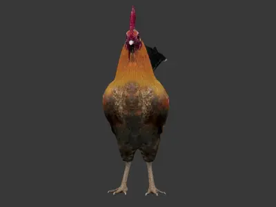 Cock  Rooster Low-poly 3D model