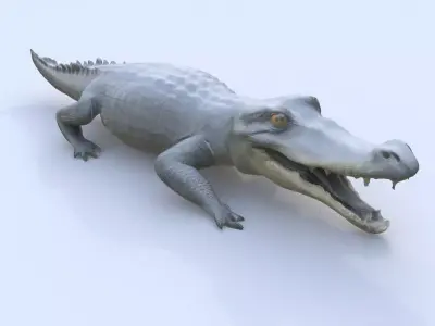 Gharial 3D model