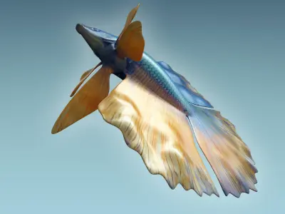 Betta Fish 10 3D model