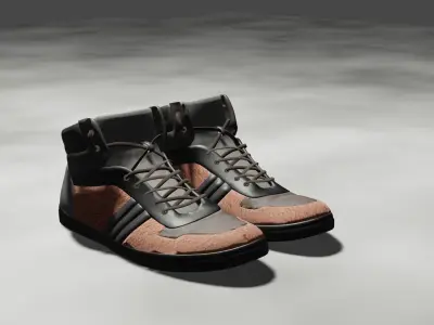 shoes 3D model