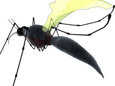 mosquito cartoon 01 3D model