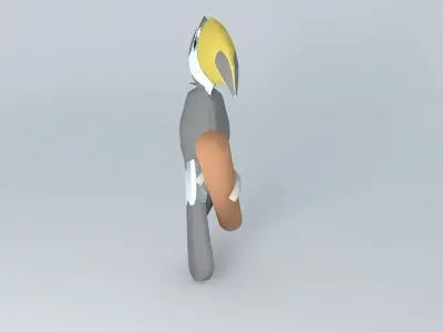 Toucan (Ramphastos toco Free 3D model