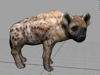Hyena Low-poly 3D model
