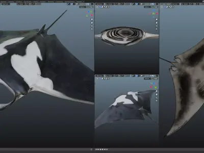 Manta Rays Low-poly 3D model
