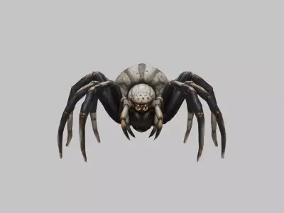 Jumping Spider Low-poly 3D model