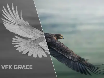 Aquila Nipalensis Animated VFX Grace 3D model