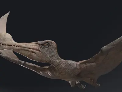 Dinosaur Tropeognathus dinosaur flying Low-poly 3D model