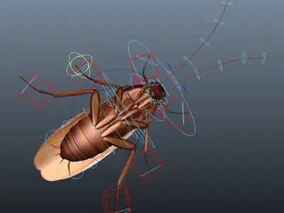 cockroach 3d maya rigged 3D model