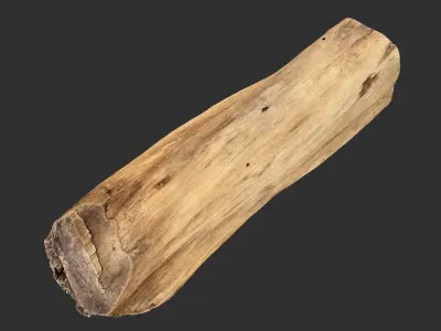 3D Scan Realistic tree timber 3D model