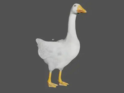 Canadian Goose  3D model