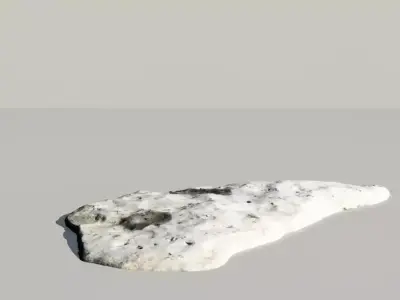 Fossil Whale Bones Scanned 3d Model 3D model