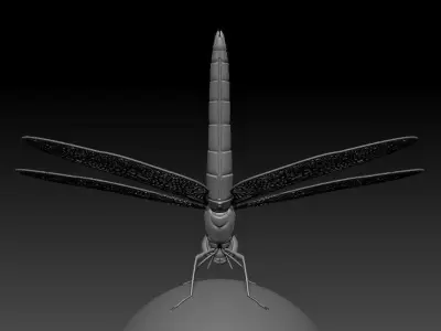 Dragonfly 3D print model