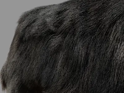 Sheltie dog pet Free 3D model