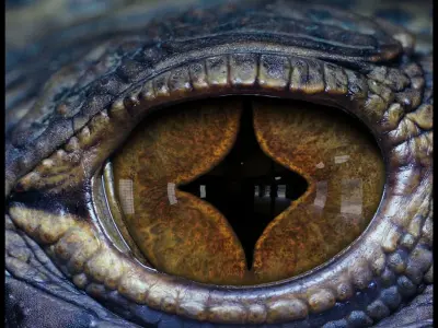 Creature eye Textures vol 01 3D model