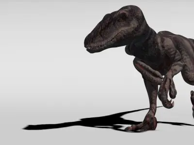 Velociraptor - Game Ready dinosaur Low-poly 3D model