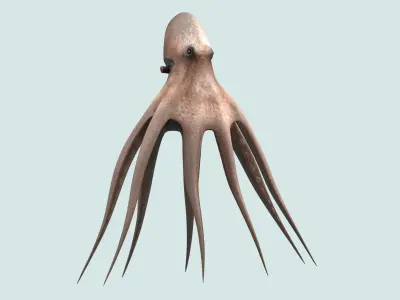 Octopus fish underwater water nature sea ocean 3D model