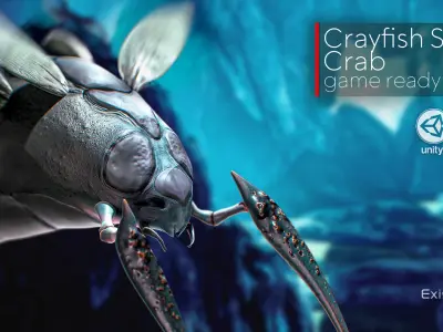 Crayfish Spider Crab - fish ocean predator crustacea model - 12 Low-poly 3D model