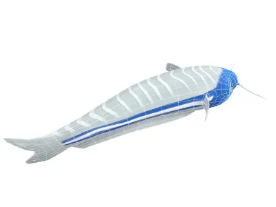 Glass Cat fish animated Low-poly 3D model