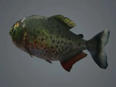 piranha fish monster amazon salmon river sea  3D model