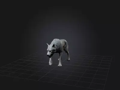 Realistic Wolf Modell Low-poly 3D model