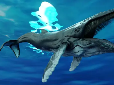 Humbpack Whale Animated Low-poly 3D model