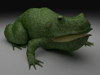 Rough Green frog - Cartoon Style Free low-poly 3D model