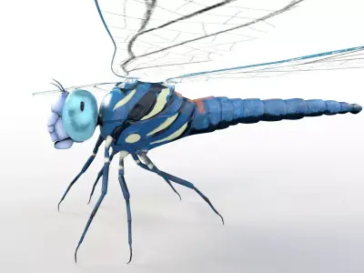 Dragonfly Insect Low-poly 3D model