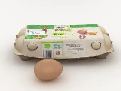 Egg Carton 001 3D model