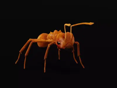 Leafcutter Ant Insect Low-poly 3D model