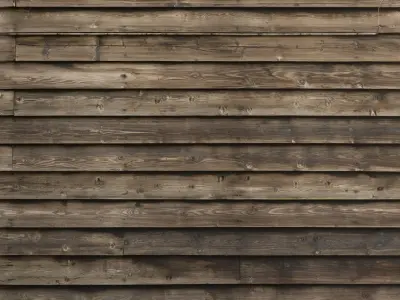 Showcase with fish and seafood 3D model