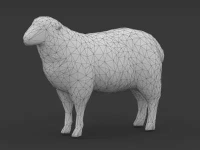 Low Poly Sheep Goat Lamb Low-poly 3D model