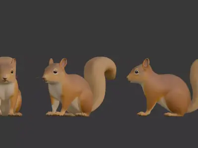 Squirrel Low-poly 3D model