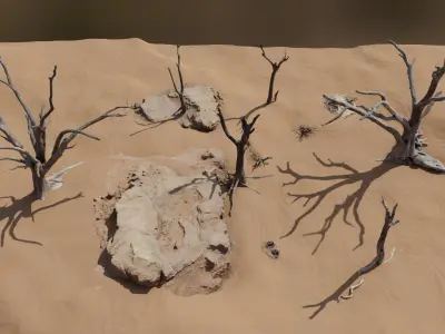 Namibian Desert Dry Vegetation Pack 12 3D model