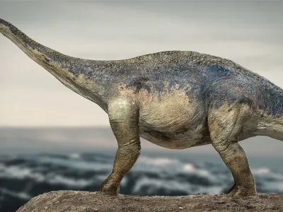 argentinosaurus Rigged 3D model Low-poly 3D model