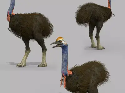Elephant Bird 8K - 3d animated model 3D model